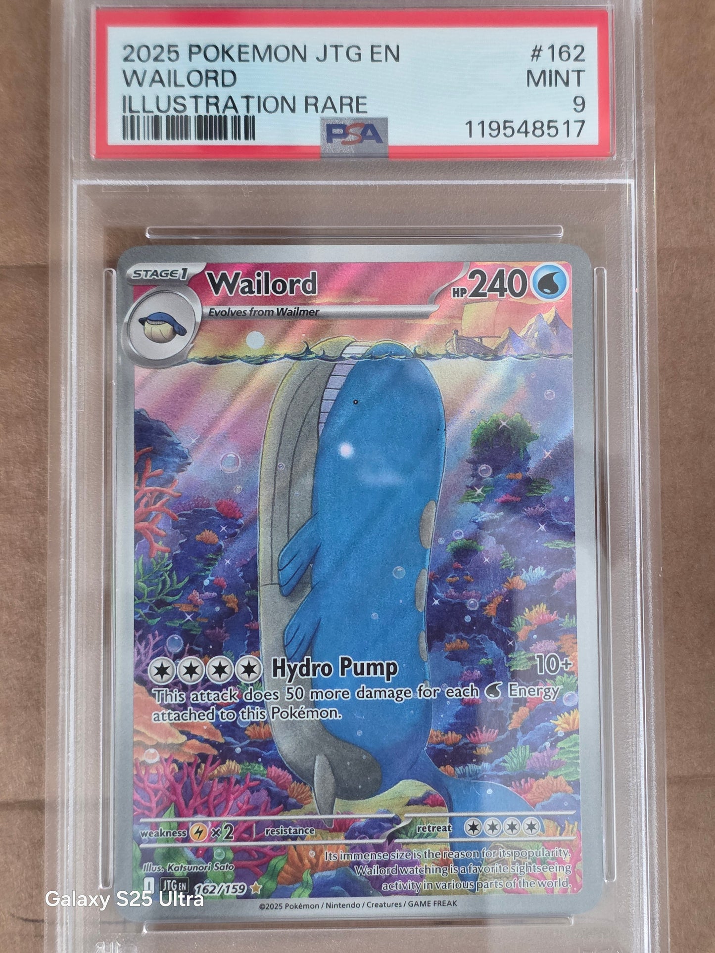 Wailord #41